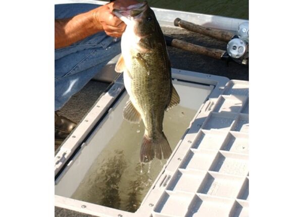 ar-kit-vivier-complet-86 KIT VIVIER COMPLET – Image 1