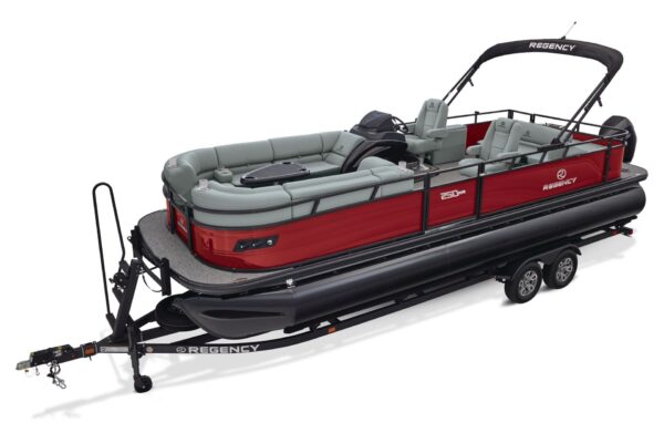 Regency 250 DL RF – Image 2