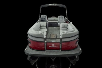 Regency 250 DL RF – Image 5