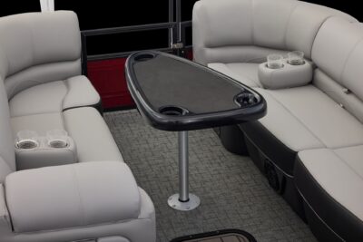 Regency 250 DL RF – Image 7