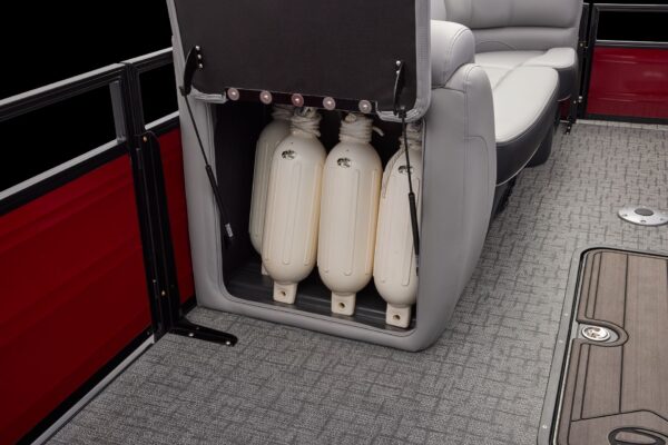 Regency 250 DL RF – Image 9