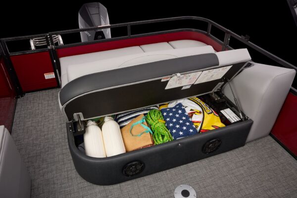 Regency 250 DL RF – Image 19