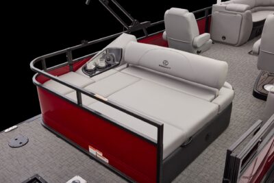 Regency 250 DL RF – Image 20