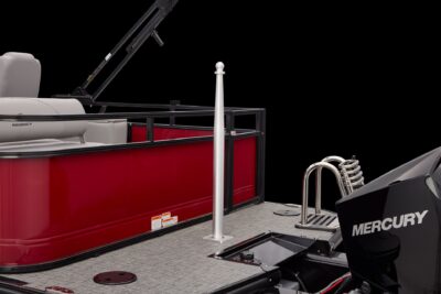 Regency 250 DL RF – Image 25