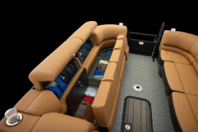 Regency 250 DL – Image 3