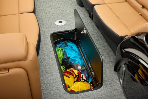 Regency 250 DL – Image 6