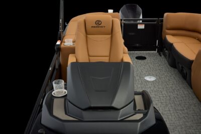 Regency 250 DL – Image 8