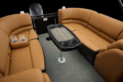 Regency 250 DL – Image 16