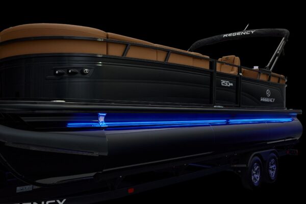 Regency 250 DL – Image 20